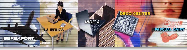 banner Iberexport
